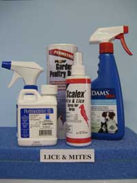 Lice & Mites